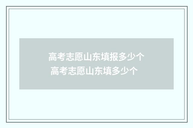 高考志愿山东填报多少个 高考志愿山东填多少个