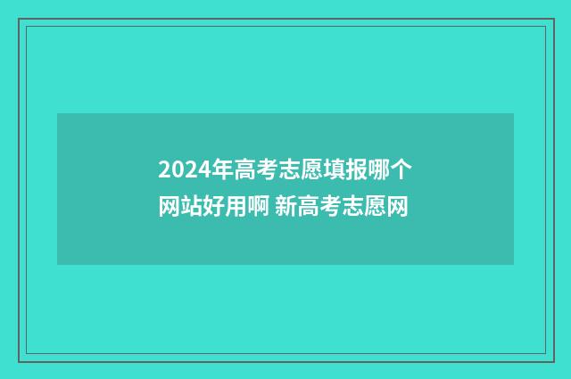 2024年高考志愿填报哪个网站好用啊 新高考志愿网