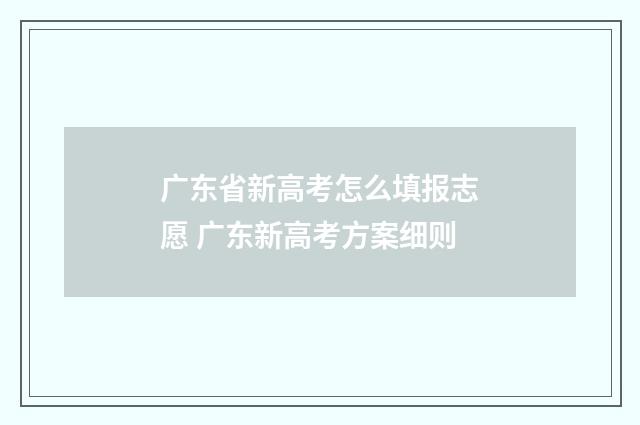 广东省新高考怎么填报志愿 广东新高考方案细则