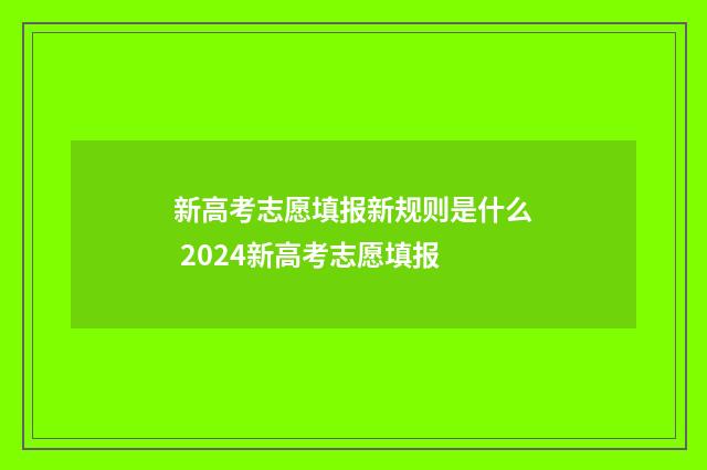 新高考志愿填报新规则是什么 2024新高考志愿填报
