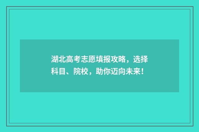 湖北高考志愿填报攻略，选择科目、院校，助你迈向未来！