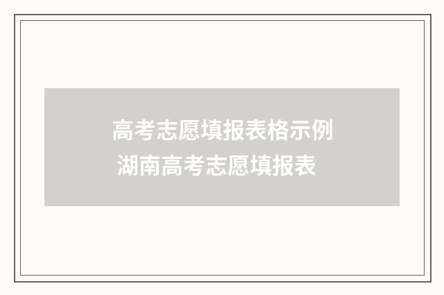 高考志愿填报表格示例 湖南高考志愿填报表