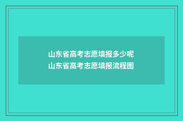 山东省高考志愿填报多少呢 山东省高考志愿填报流程图