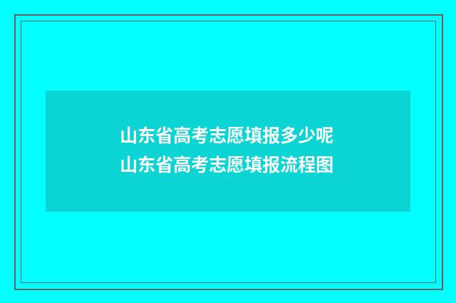山东省高考志愿填报多少呢 山东省高考志愿填报流程图