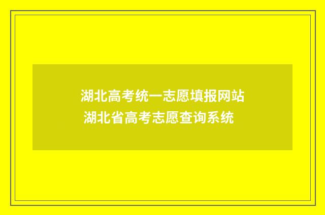 湖北高考统一志愿填报网站 湖北省高考志愿查询系统