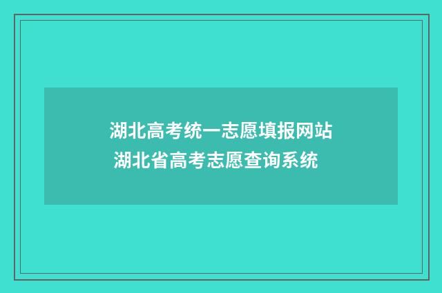 湖北高考统一志愿填报网站 湖北省高考志愿查询系统