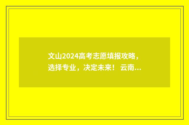 文山2024高考志愿填报攻略，选择专业，决定未来！ 云南省文山州2020年高考状元