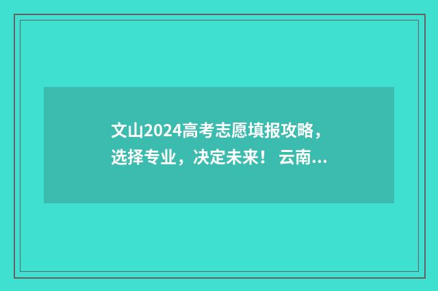 文山2024高考志愿填报攻略，选择专业，决定未来！ 云南省文山州2020年高考状元