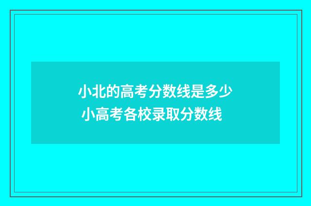 小北的高考分数线是多少 小高考各校录取分数线