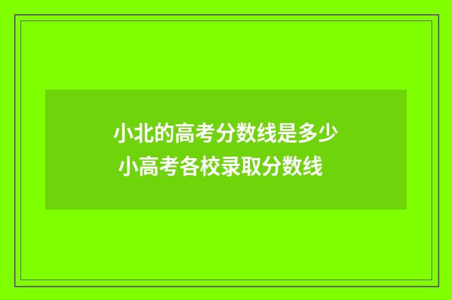 小北的高考分数线是多少 小高考各校录取分数线