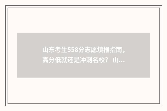 山东考生558分志愿填报指南，高分低就还是冲刺名校？ 山东高考558分是什么水平