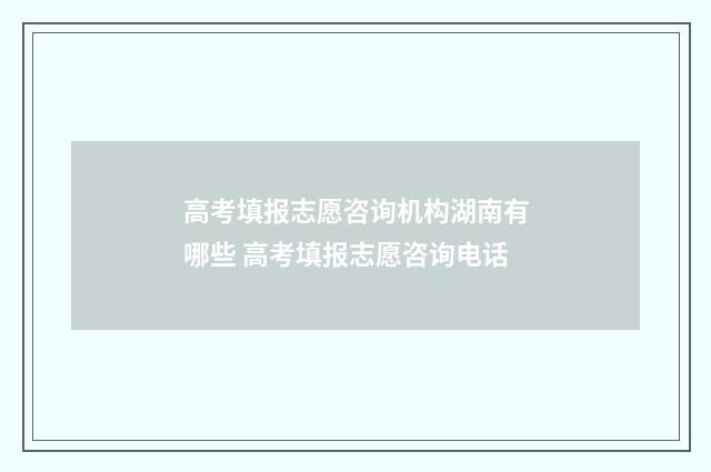 高考填报志愿咨询机构湖南有哪些 高考填报志愿咨询电话