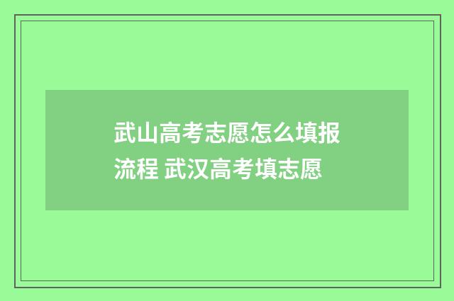 武山高考志愿怎么填报流程 武汉高考填志愿
