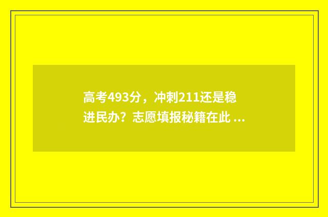 高考493分，冲刺211还是稳进民办？志愿填报秘籍在此 高考439分 怎么样