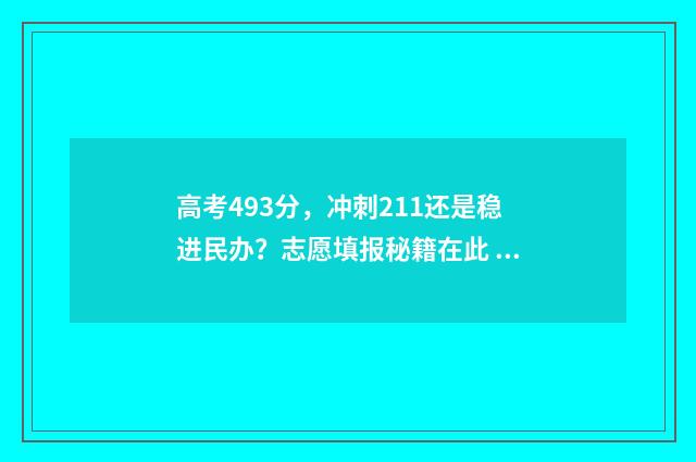 高考493分，冲刺211还是稳进民办？志愿填报秘籍在此 高考439分 怎么样