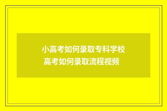 小高考如何录取专科学校 高考如何录取流程视频