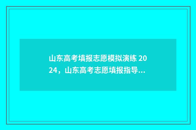 山东高考填报志愿模拟演练 2024，山东高考志愿填报指导 山东高考填报志愿指南