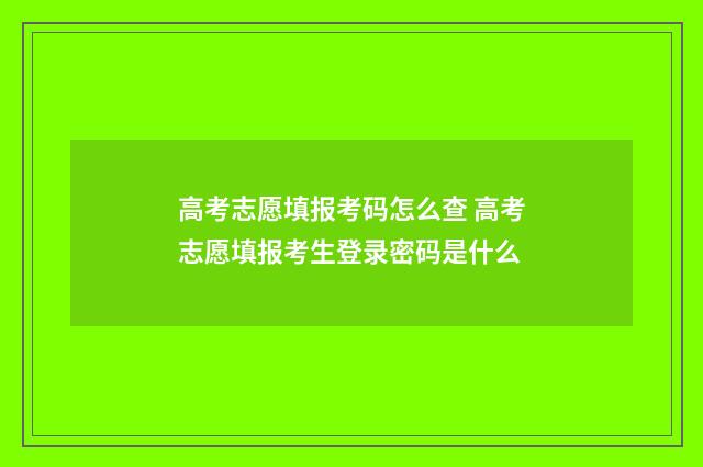 高考志愿填报考码怎么查 高考志愿填报考生登录密码是什么