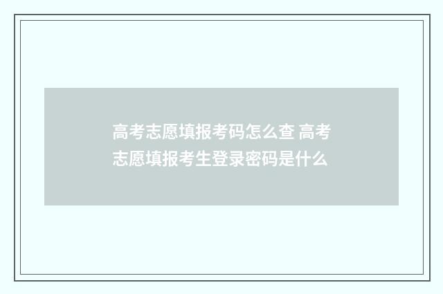 高考志愿填报考码怎么查 高考志愿填报考生登录密码是什么