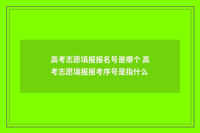 高考志愿填报报名号是哪个 高考志愿填报报考序号是指什么