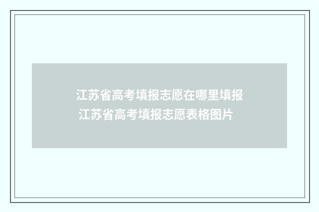 江苏省高考填报志愿在哪里填报 江苏省高考填报志愿表格图片