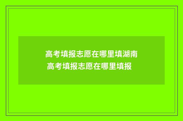 高考填报志愿在哪里填湖南 高考填报志愿在哪里填报