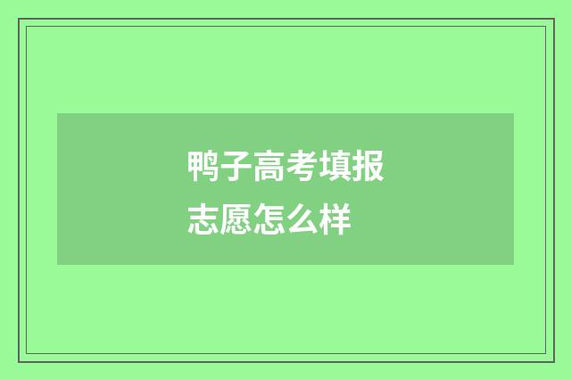 鸭子高考填报志愿怎么样
