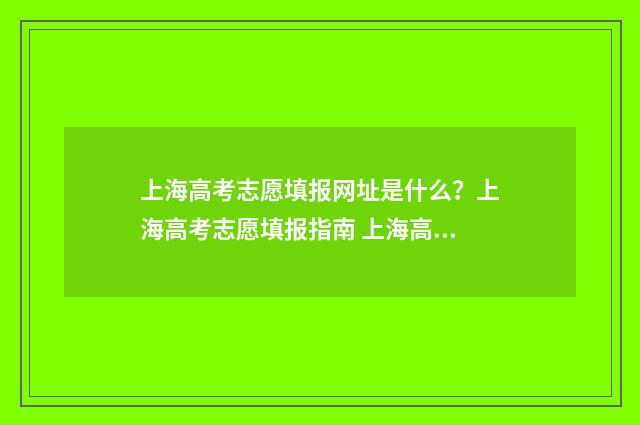 上海高考志愿填报网址是什么？上海高考志愿填报指南 上海高考志愿填报2024