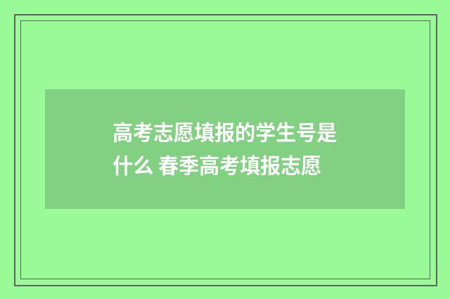 高考志愿填报的学生号是什么 春季高考填报志愿