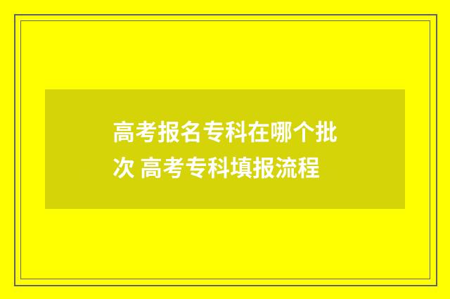 高考报名专科在哪个批次 高考专科填报流程