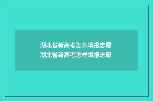 湖北省新高考怎么填报志愿 湖北省新高考怎样填报志愿