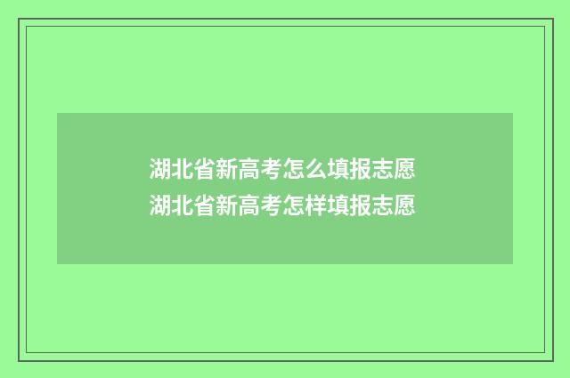 湖北省新高考怎么填报志愿 湖北省新高考怎样填报志愿