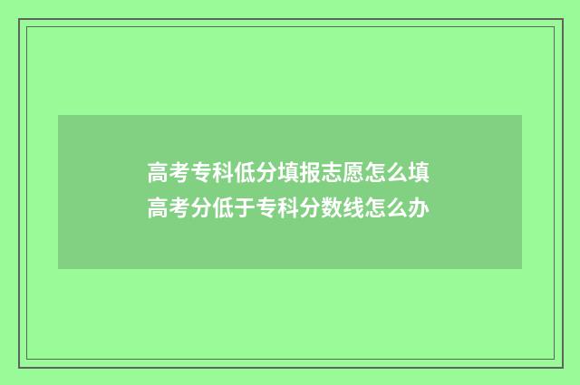 高考专科低分填报志愿怎么填 高考分低于专科分数线怎么办