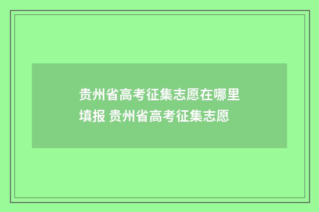 贵州省高考征集志愿在哪里填报 贵州省高考征集志愿