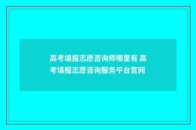 高考填报志愿咨询师哪里有 高考填报志愿咨询服务平台官网