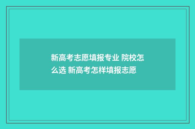 新高考志愿填报专业 院校怎么选 新高考怎样填报志愿