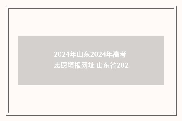 2024年山东2024年高考志愿填报网址 山东省202