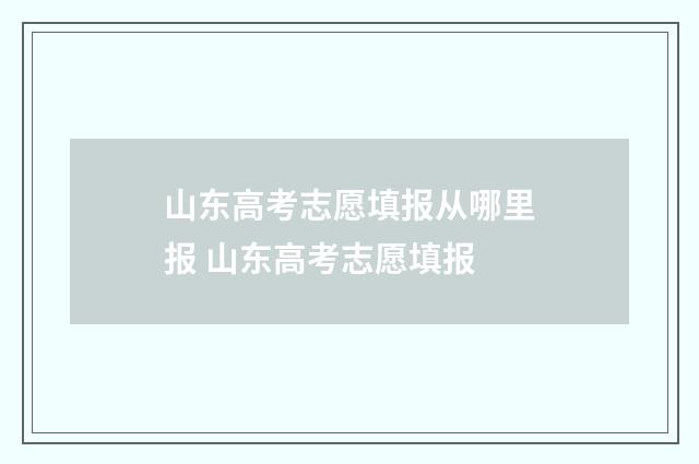 山东高考志愿填报从哪里报 山东高考志愿填报