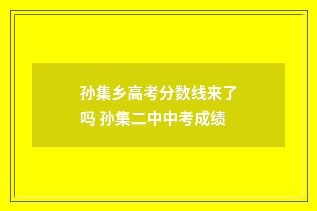 孙集乡高考分数线来了吗 孙集二中中考成绩