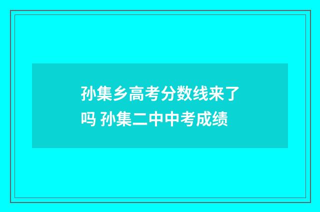 孙集乡高考分数线来了吗 孙集二中中考成绩