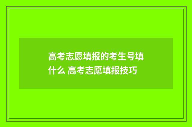 高考志愿填报的考生号填什么 高考志愿填报技巧