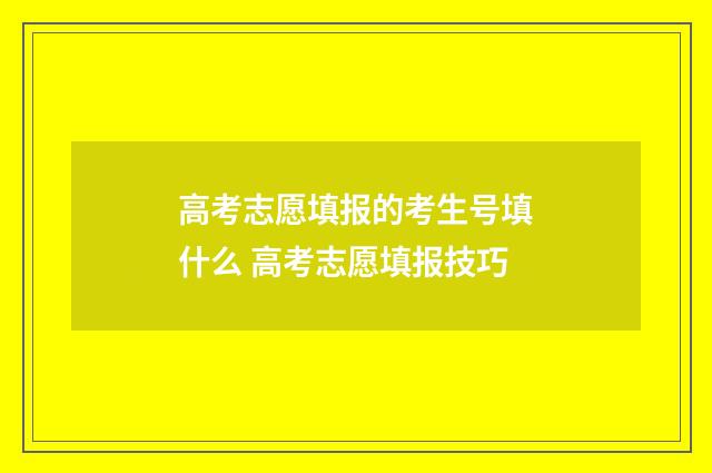 高考志愿填报的考生号填什么 高考志愿填报技巧