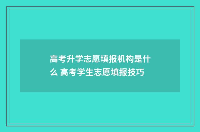 高考升学志愿填报机构是什么 高考学生志愿填报技巧