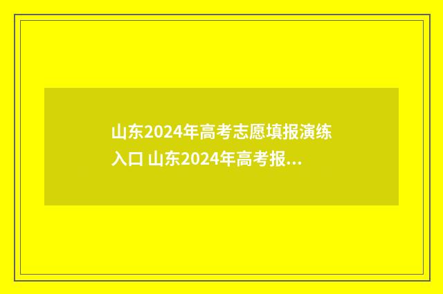 山东2024年高考志愿填报演练入口 山东2024年高考报名
