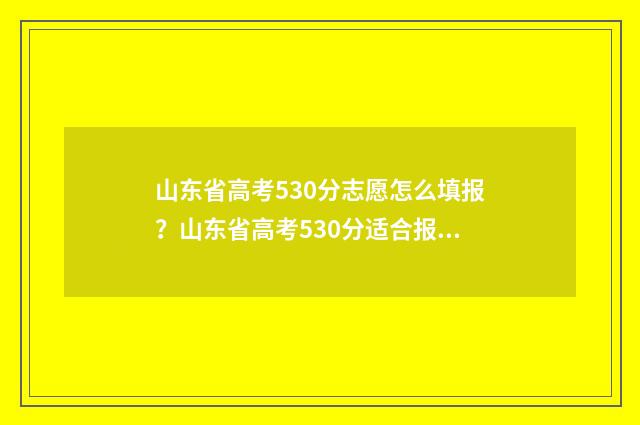 山东省高考530分志愿怎么填报？山东省高考530分适合报考什么大学 山东省高考530分能上什么大学
