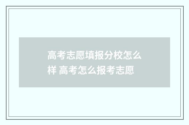 高考志愿填报分校怎么样 高考怎么报考志愿