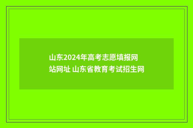 山东2024年高考志愿填报网站网址 山东省教育考试招生网