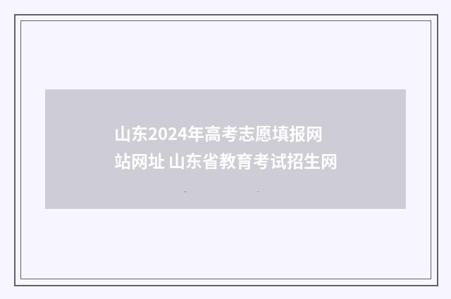 山东2024年高考志愿填报网站网址 山东省教育考试招生网