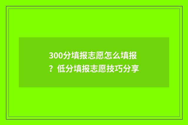 300分填报志愿怎么填报？低分填报志愿技巧分享