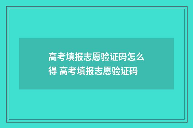 高考填报志愿验证码怎么得 高考填报志愿验证码